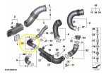 Mangueira Tubo Charge Pipe Bmw X3m X4m F97 F98 M3 G80 S58 - Imagem 2